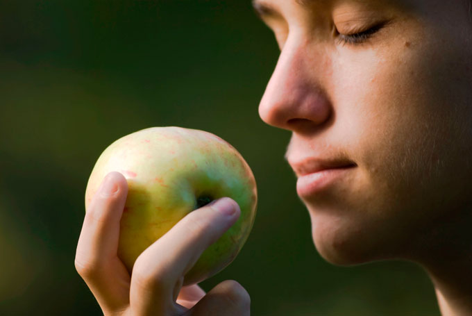 Нюхает яблоко, чтобы снизить чувство голода