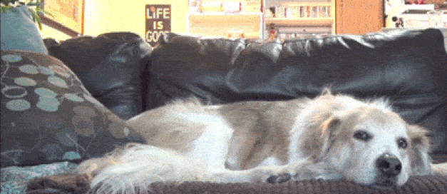 Будьте добры