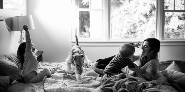 Как сделать хорошее фото: свет