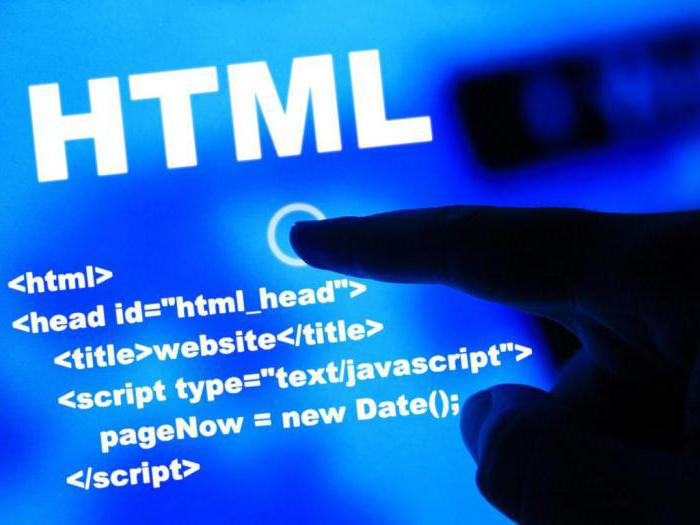 html input type text