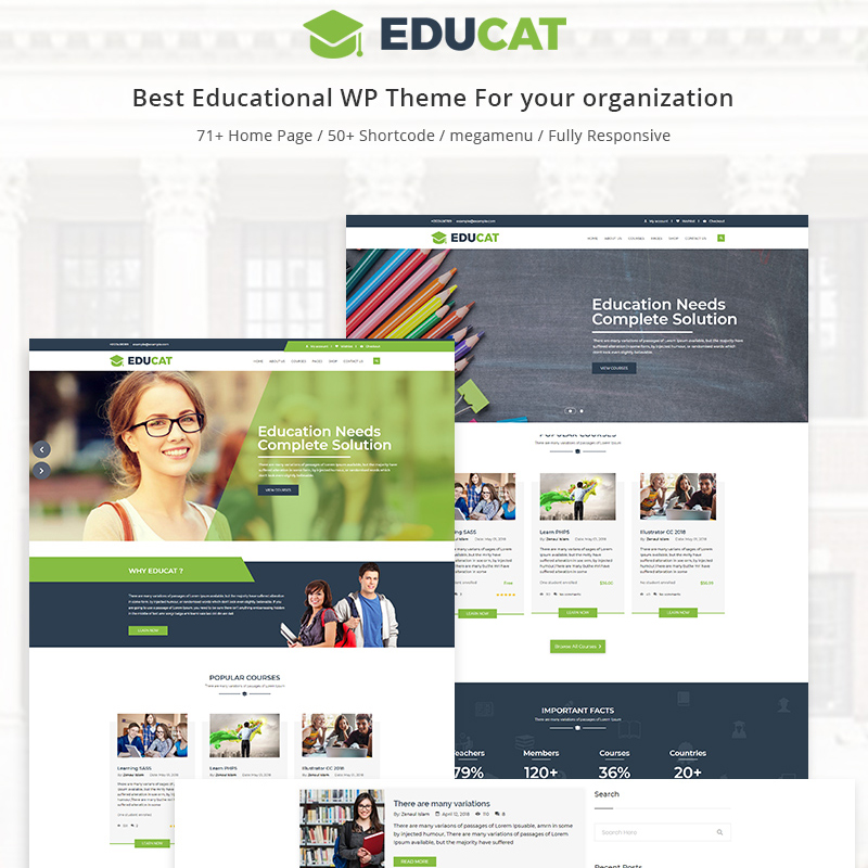 WordPress шаблон Educat - Education