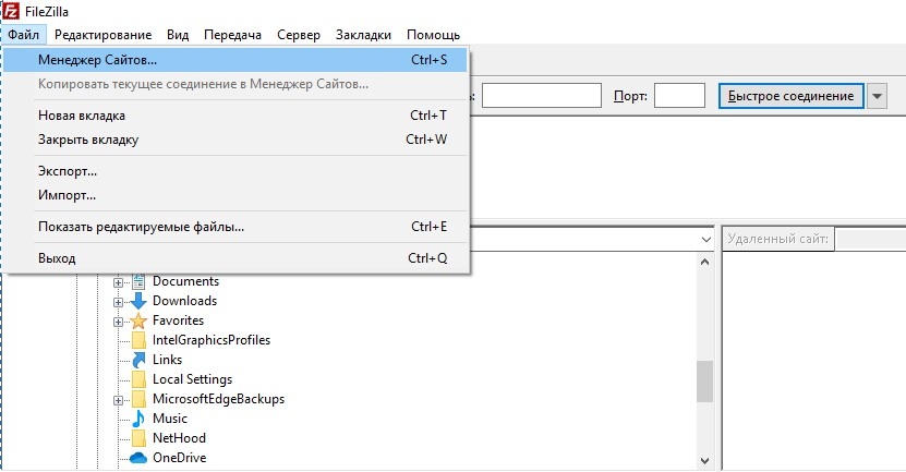 Открываем программу FilleZilla, переходим в Менеджер Сайтов