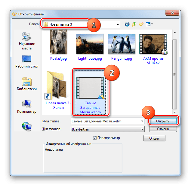 Окно открытия файла в программе XnView