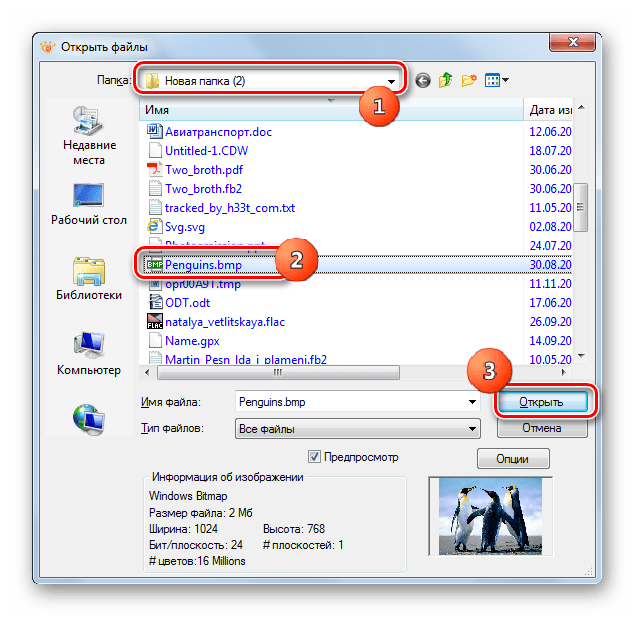 Окно открытия файла в программе XnView