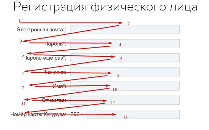 Чтобы заполнить форму, человек совершает 14 визуальных остановок