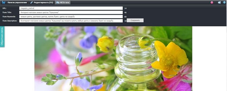 Заполнение мета-тегов - 1C-UMI Заполнение мета-тегов