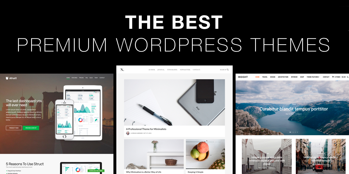 the best premium wordpress themes