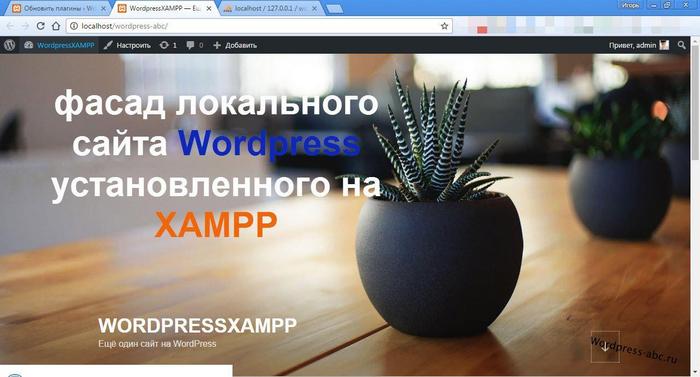 сайт wordpress на локальном сервере XAMPP