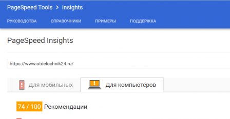 Google (PageSpeed Insights)