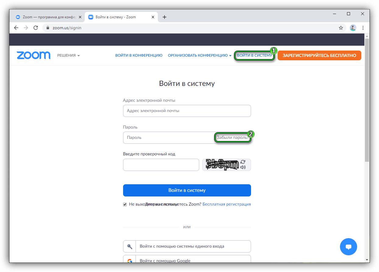 Какой нужно ввести. Пароль. Забыли пароль. Пароль для Zoom. Пароли для сайтов.