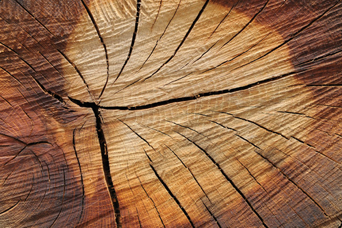 Текстуры дерева